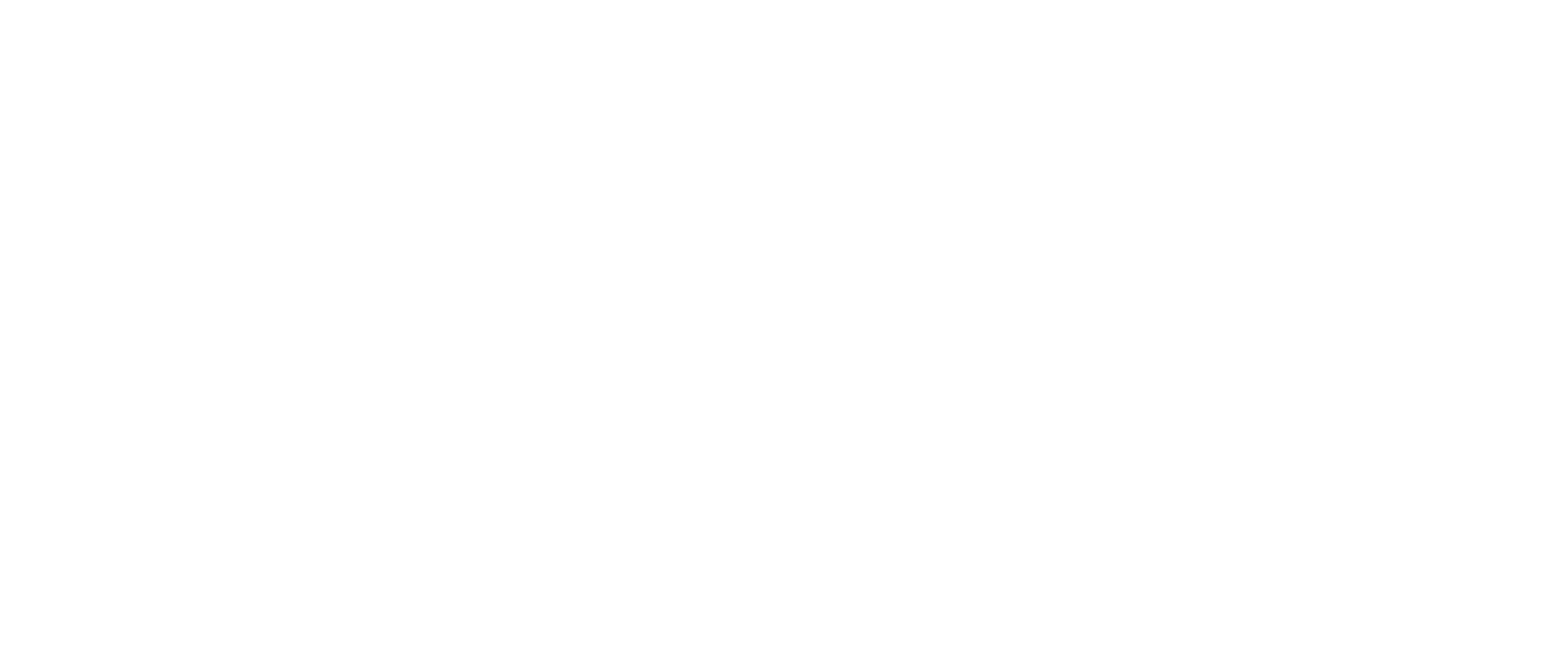 logo light
